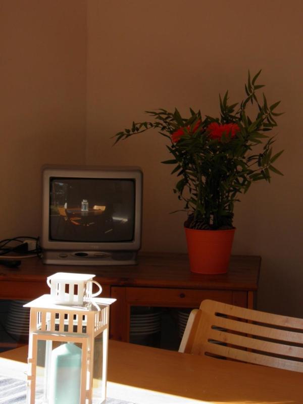 Maremmare Tuscany Apartments プリンチピナ・ア・マーレ エクステリア 写真