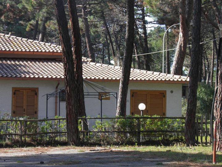 Maremmare Tuscany Apartments プリンチピナ・ア・マーレ エクステリア 写真