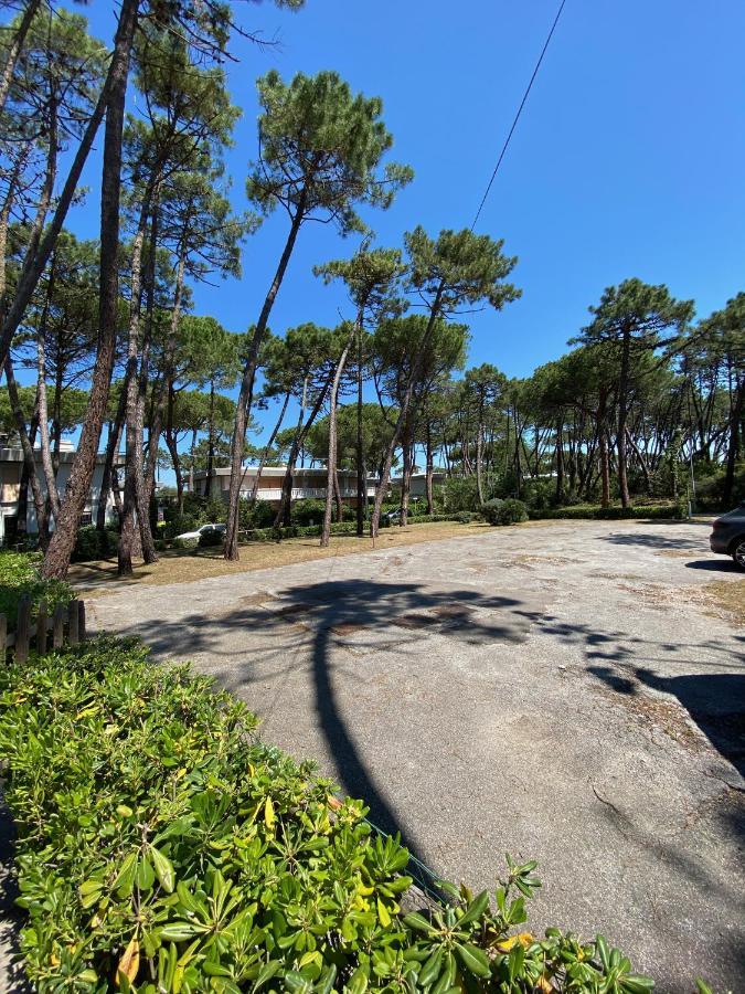 Maremmare Tuscany Apartments プリンチピナ・ア・マーレ エクステリア 写真